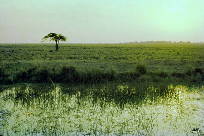 AÑO 1977 - COLOR - VIDA CAMPESINA EN PARAGUAY (JOSÉ MARÍA BLANCH)